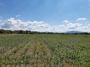 Teren agricol extravilan Podu Oltului la limita UAT Harman si UAT Prejmer (Lunca Calnicului)  