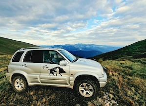 Suzuki vitara 