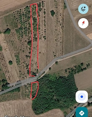 Teren cu casuta,  vie si livada la 10min. de baile Tasnad - imagine 2