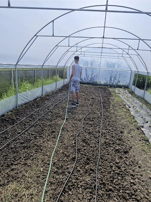 Casa la tara de vanzare cu teren, livada si solar profesional - imagine 2