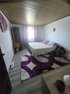 Casa la tara de vanzare cu teren, livada si solar profesional - imagine 7