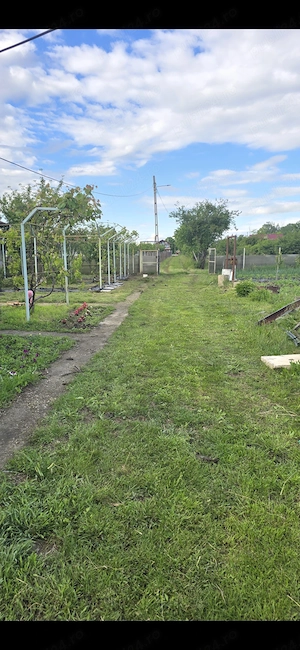 Casa la tara de vanzare cu teren, livada si solar profesional - imagine 10