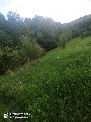 teren de vanzare 8 euro la 13 km de pitesti - imagine 4
