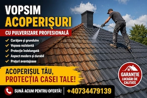vopsitorie acoperisuri si structuri metalice 