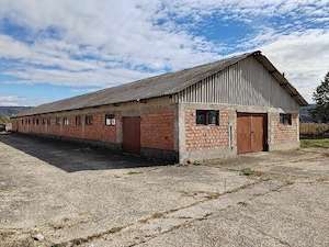 Închiriere Ferma hale 2.600 mp  | 100 kW trifazic | Mălureni, Argeș - imagine 3