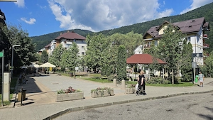 Apartament de inchiriat Sinaia