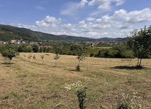 Teren intravilan Bocșa zona 1 MAI 