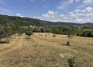 Teren intravilan Bocșa zona 1 MAI  - imagine 3