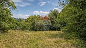TEREN INTRAVILAN 1.498 MP CU CONSTRUCTIE | 3 FRONTURI STRADALE | SCHEI - imagine 13