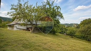 TEREN INTRAVILAN 1.498 MP CU CONSTRUCTIE | 3 FRONTURI STRADALE | SCHEI - imagine 14