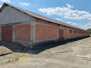 Închiriere Ferma hale 2.600 mp  | 100 kW trifazic | Mălureni, Argeș - imagine 5