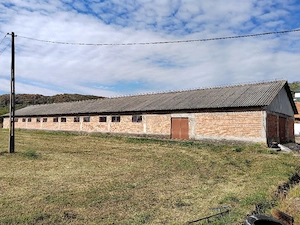 Închiriere Ferma hale 2.600 mp  | 100 kW trifazic | Mălureni, Argeș - imagine 6