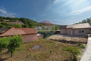 Casa renovata total cu 545 mp teren - Angarul de Sus - Medias - imagine 20