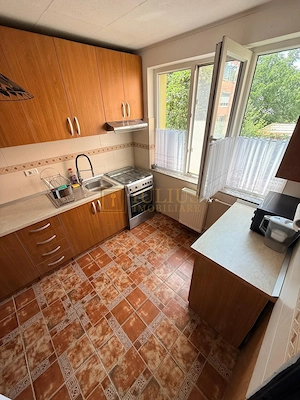 2 camere| curte comuna cu 3 apartamente| centrala proprie| zona aradului| - imagine 8
