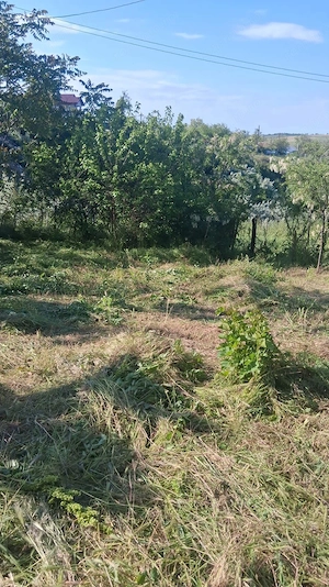 Casă cu teren de 1.470 mp de vânzare – Fântânele, Scânteiești - imagine 7
