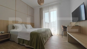 Apartament 2 camere, 45 mp, zona Sanmartin - imagine 4