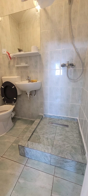  Garsonieră de închiriat   Gruia, str. Migdalului   - imagine 6