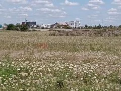 Teren industrial de vânzare , Timișoara. Autorizație de construire inclusă - imagine 7