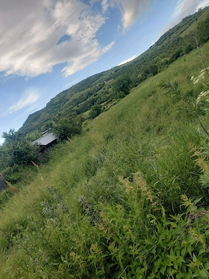 Vând teren intravilan zonă de munte Chiojdu buzău  - imagine 5