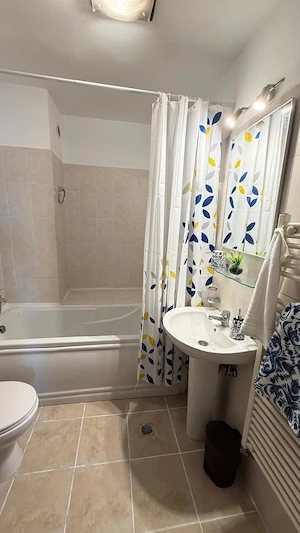 Vanzare apartament cu 2 camere in centru  - imagine 3
