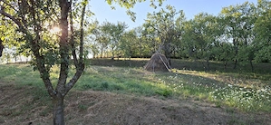 Vand teren in Valcele, Cluj - imagine 5