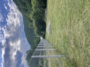 Teren intravilan Moara de pădure (Sat de vacanță) - imagine 4