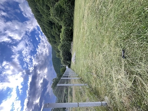 Teren intravilan Moara de pădure (Sat de vacanță) - imagine 2