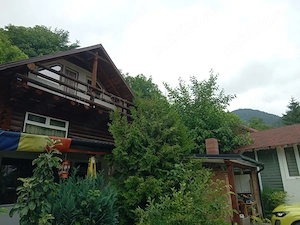 Teren si casa  Alexandru cel Bun, la 5 min de Piatra Neamt, 1ora IASI, 3 ore Bucure - imagine 2