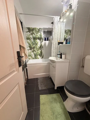 Apartament cu 2 camere, mobilat modern - zona Lipovei  - imagine 5