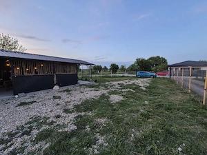 Teren intravilan de vânzare - Cornetu, IF (1.200mp + foișor80mp)