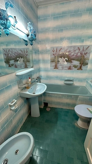 Casa individuala zona Calea Poplacii - imagine 10