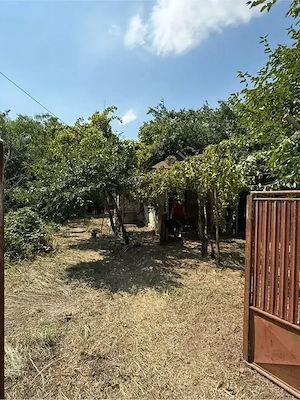 Vand casa batraneasca cu cramă din caramida in Valea Calugareasca - imagine 2