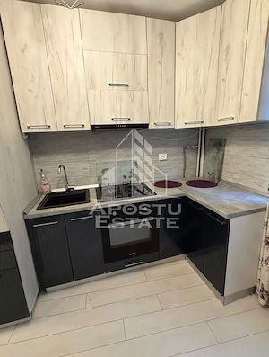 Apartament cu 2 camere de inchiriat, Elisabetin,Timisoara - imagine 3