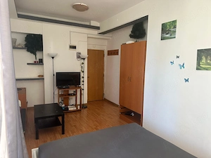 Garsoniera, Str. Smardan nr. 5 bis, bloc fara risc seismic - imagine 8