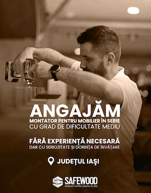 Montator pentru mobilier în serie, în orașul Iași