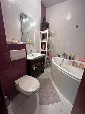 Apartament 3 camere Bd. Ion Mihalache - imagine 6