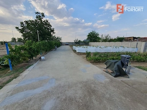 Spatiu de productie, 10 incaperi, 382 mp utili, 1800 mp teren, Peciu Nou - imagine 16