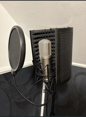 Microfon studio+ stand, pop filter si perete acustic