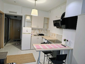 Inchiriere 2 Camere RIN Grand Residence, Vedere Parcul Vacaresti, Dressing - imagine 4