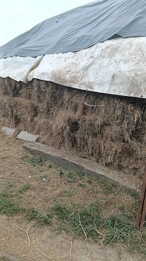 Baloți de iarba,,10 lei ,Suceava,tel  .