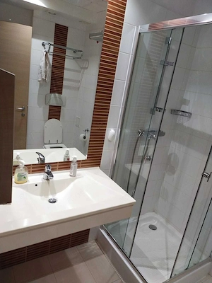 Inchiriere 2 Camere RIN Grand Residence, Vedere Parcul Vacaresti, Dressing - imagine 5