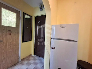 Apartament 2 camere  zona Teiul Doamne Colentina - imagine 6
