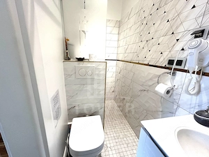 Apartament renovat, cu garaj și pivnițe, în Centrul Istoric al Sibiului - imagine 11