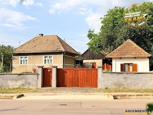 Casa cu teren generos de 1.315 mp, bucatarie de vara complet renovata si acces din doua strazi – Cer - imagine 9