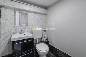 Spatiu Comercial Gorjului-Timisoara - imagine 2