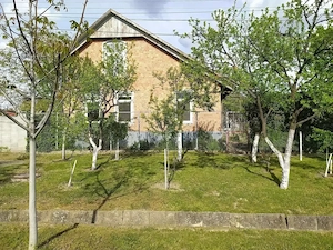Casă spațioasă de vânzare in Nădlac - imagine 3