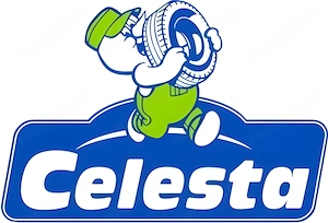 Celesta srl Vaslui angajeaza gestionar Magazin Piese Auto 