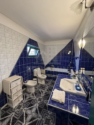 Casa Spatioasa D+P+1+M – 615mp - Teren 1000mp - Rovine - imagine 9
