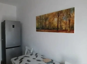 Apartament 2 camere sector 4 Kristal - imagine 6