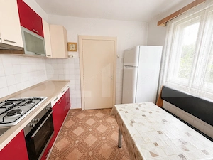 Casa individuala zona excelenta, Dambu Rotund, 307 mp curte - imagine 8